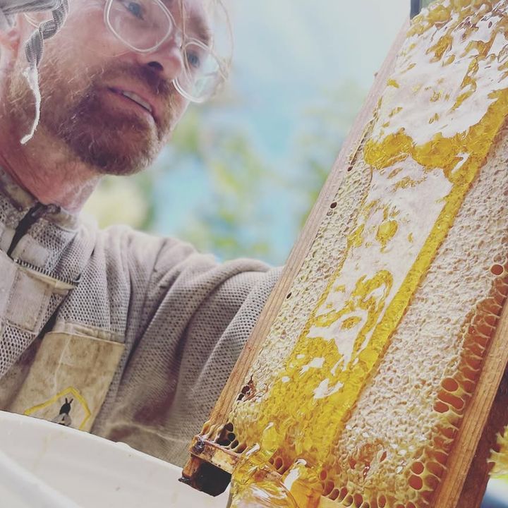 A man in glasses lifting a frame of dripping honeycomb from a hive